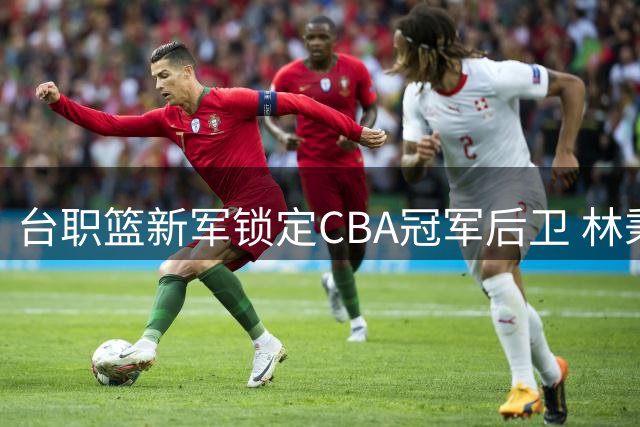 台职篮新军锁定CBA冠军后卫 林秉圣加盟新竹洋基工程新赛季